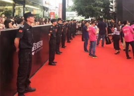 某活动安保服务水蜜桃网站入口